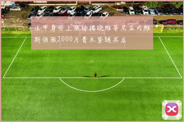 法甲身价上涨榜揭晓维蒂尼亚内维斯领涨2000万青木紧随其后