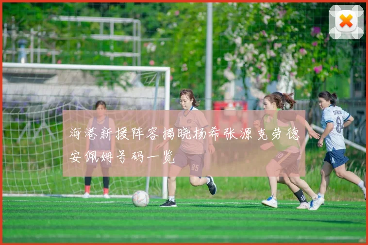 海港新援阵容揭晓杨希张源克劳德安佩姆号码一览