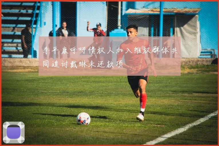 李平康呼吁债权人加入维权群体共同追讨戴琳未还款项