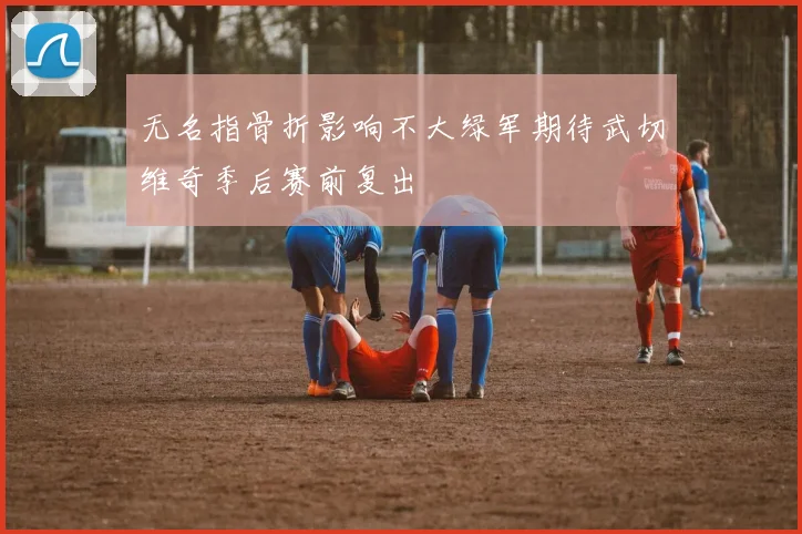 无名指骨折影响不大绿军期待武切维奇季后赛前复出
