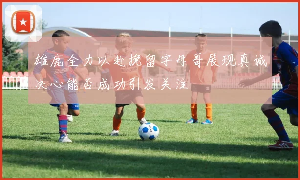 雄鹿全力以赴挽留字母哥展现真诚决心能否成功引发关注