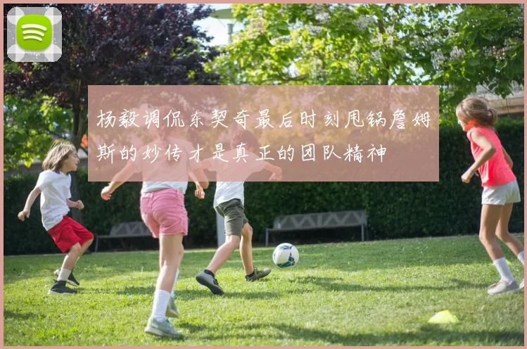 杨毅调侃东契奇最后时刻甩锅詹姆斯的妙传才是真正的团队精神